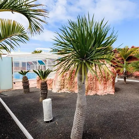 Lanzarote Olive Коста Бланка